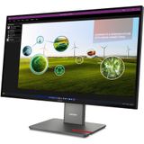 Lenovo ThinkVision P27Q-40 LED display 68,6 cm (27") 2560 x 1440 Pixels Quad HD Zwart