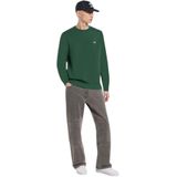 Dickies - OAKPORT SWEAT - Sweater - Groen