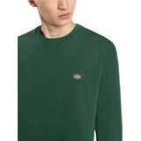 Dickies - OAKPORT SWEAT - Sweater - Groen