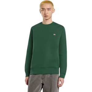 Dickies - OAKPORT SWEAT - Sweater - Groen