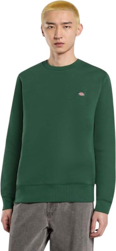 Dickies - OAKPORT SWEAT - Sweater - Groen