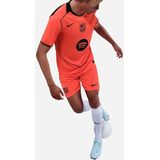 Nike - Short Third FC Barcelona 2025/26 - Sportbroek