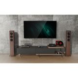 WiiM Ultra DAC streamer - Hi-Res Muziekstreamer - Zilver