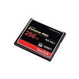 SanDisk CompactFlash - 256 GB - 160 MB/s