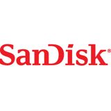 Sandisk High Endurance - Geheugenkaart - 64GB