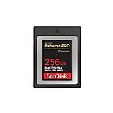 SanDisk Extreme Pro CFexpress-Speicherkarte Typ B 256 GB (1.700 MB/s Lesen, 1.200 MB/s Schreiben, RescuePRO Deluxe, ruckelfreie RAW Videos, 4K, XQD Kompatibilität)