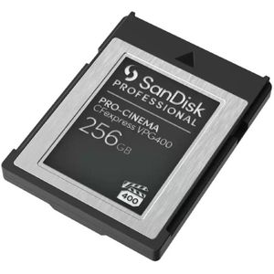 PRO-CINEMA CFexpress VPG400 Type B Camerakaart 256 GB (VPG400, Leessnelheden Tot 1700 MB/s En Schrijfsnelheden Tot 1400 MB/s, Robuust ontwerp, RescuePRO Deluxe, 30 jaar beperkte garantie)