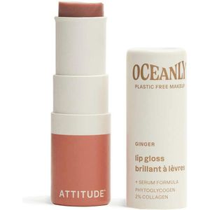 Oceanly Lip Gloss Ginger 3,4 g