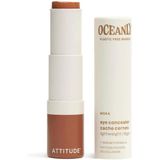 Oceanly - Light Coverage Concealer - Moka - 5,7 g