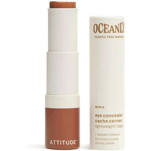 Oceanly - Light Coverage Concealer - Moka - 5,7 g