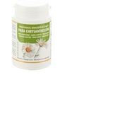 Para Chrysanthellum - Voedingssupplement - Ondersteunt Cholesterol en Triglyceriden