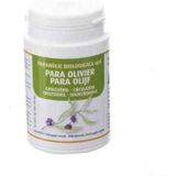 Para - Olijfbladeren - Voedingssupplement - Regulering Effect op Cholesterol