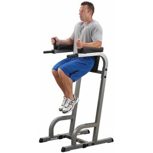 Body-Solid GVKR60 Vertical Knee Raise + Dipping stations