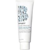 Briogeo Scalp Revival Charcoal + Tea Tree Cooling Hydration Scalp Mask 177 ml