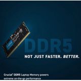 Crucial SORAM D5 5600 24GB CL46GB geheugenmodule 1 x 24 GB DDR5 5600 MHz ECC