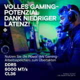 Crucial Pro Overclocking geheugenmodule 32 GB 2 x 16 GB DDR5 6000 MHz