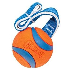 Chuckit Ultra Ball Ø 7 cm – Rubberen Hondenbal - Hondenspeelgoed – Drijvend honden speelgoed – Oranje – 1 Stuk