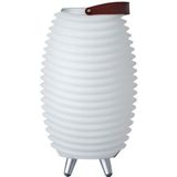 Kooduu Synergy 50S - Bluetooth Speaker - Wijnkoeler - LED lamp - met ingebouwde accu. 100% draadloos, muziek streamen