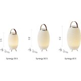 Kooduu Synergy 50S - Bluetooth Speaker - Wijnkoeler - LED lamp - met ingebouwde accu. 100% draadloos, muziek streamen