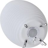 Kooduu Synergy 50S - Bluetooth Speaker - Wijnkoeler - LED lamp - met ingebouwde accu. 100% draadloos, muziek streamen