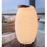 Kooduu Synergy 50S - Bluetooth Speaker - Wijnkoeler - LED lamp - met ingebouwde accu. 100% draadloos, muziek streamen