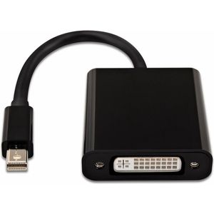 V7 Mini DisplayPort naar DVI zwart - adapter voor videokabel (Mini DisplayPort, DVI, stekker, zwart, China)