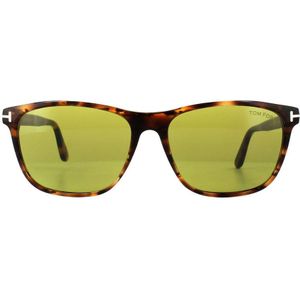 Tom Ford zonnebril 0629 Nicolo 55n Havana Green | Sunglasses