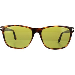 Tom Ford Zonnebril 0629 Nicolo 55N Havana Groen | Sunglasses