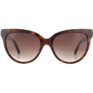 Swarovski Cat Eye Dames Dark Havana Brown Gradient zonnebril | Sunglasses
