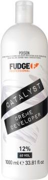 Fudge - Professional Catalyst Dream Developer - 1000ml