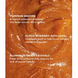 Peter Thomas Roth - Pumpkin Enzyme- Hydraterend masker