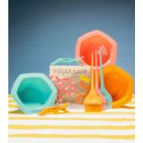 Framar - Colorist Kit - Haarverf Benodigdheden - Beacation