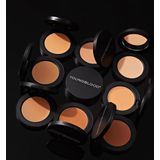 Youngblood Ultimate Concealer Fair 2.8 g