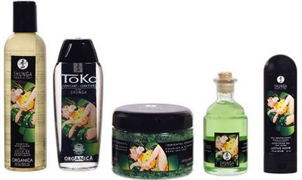 Large Pleasure Kit Shunga SH9002 5 Stücke