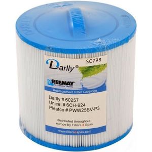 Darlly spa filter SC798 (6CH-924)