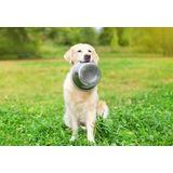 Happy Pet Voerbak RVS 25 cm