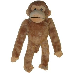 Multipet swinger chimpansee