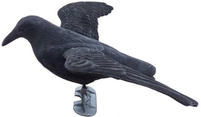 Ketrop Gevleugelde nepkraai vogelverjager