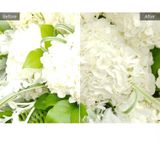 Corel - AfterShot Pro 3 - Fotobewerkingssoftware - Eenmalige Aanschaf