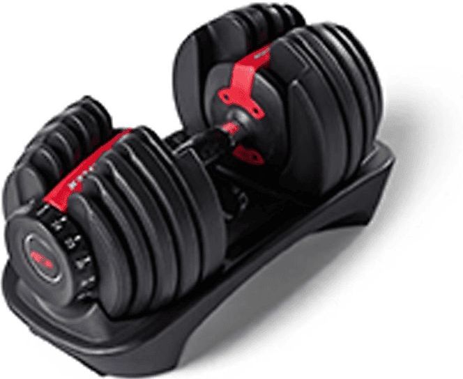 BowFlex 552i verstellbare Hantel 1x24 kg