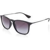 Ray-Ban Zonnebril RB4187