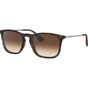 Ray-Ban zonnebril 0RB4187 bruin