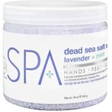 BCL SPA - Dead Sea Salt Soak Lavender+Mint - 454 gr