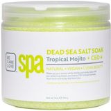 BCL SPA - Dead Sea Salt Soak Tropical Mojito - 454 gr