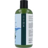 Petal Fresh Rosemary & Mint Unisex Shampoo 475ml