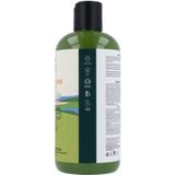 Petal Fresh Grape Seed & Olive Oil Shampoo - 475 ml