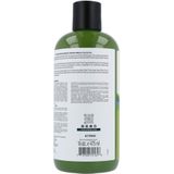 Petal Fresh Grape Seed & Olive Oil Shampoo - 475 ml