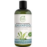 Petal Fresh, Shampoo Seaweed & Argan