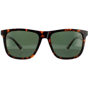 Polaroid zonnebril PLD 2102/s/X KRZ UC Havana Green Polarisated | Sunglasses