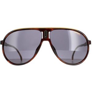 Carrera Aviator Heren Havana Gray Champion65/N | Sunglasses